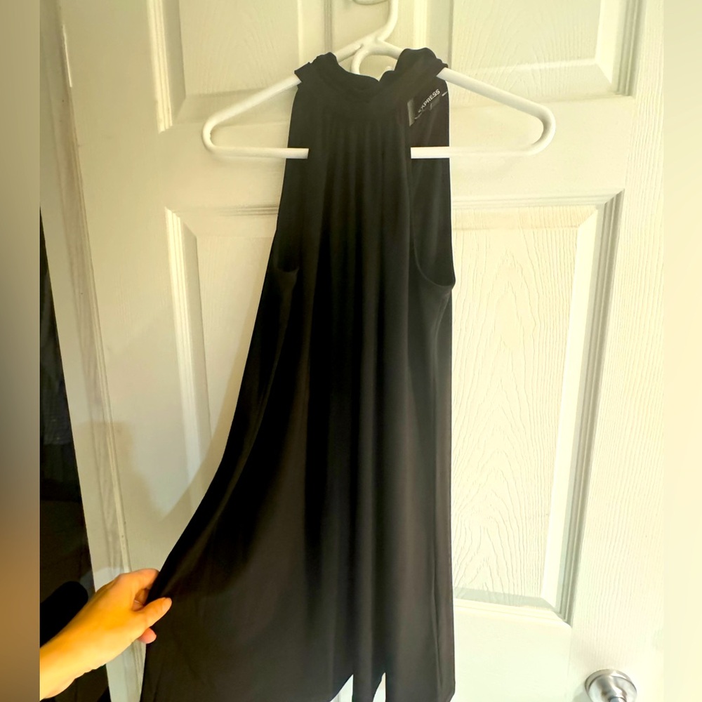 Express Dress - Picture 2 of 4